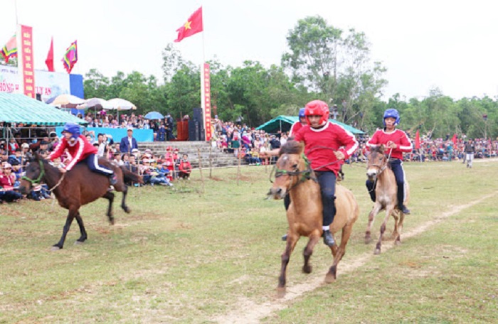 place to go to Tet in Phu Yen - Go Thi Thung horse racing festival