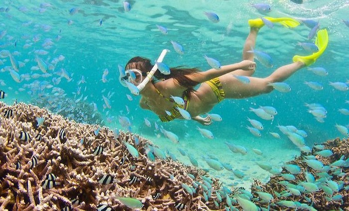 lặn ngắm san hô Côn Đảo - đến mùa hè
