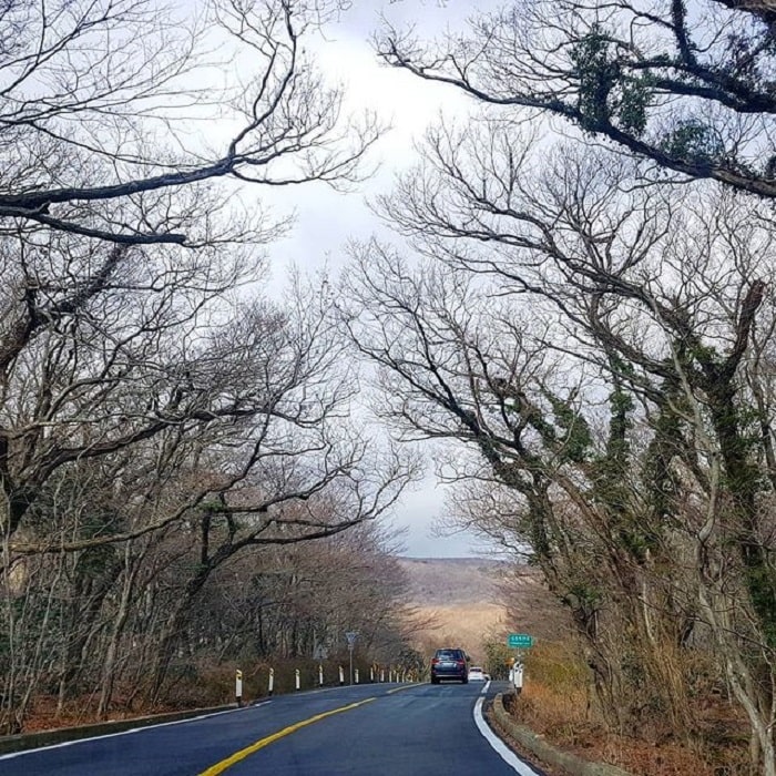 núi Hallasan Hàn Quốc - đường mòn Seongpanak