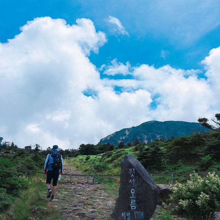 núi Hallasan Hàn Quốc - đường mòn Yeongsil