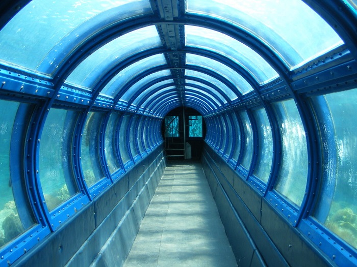Đường hầm dưới nước trên đảo Pulau Putri - Quần đảo Seribu Indonesia
