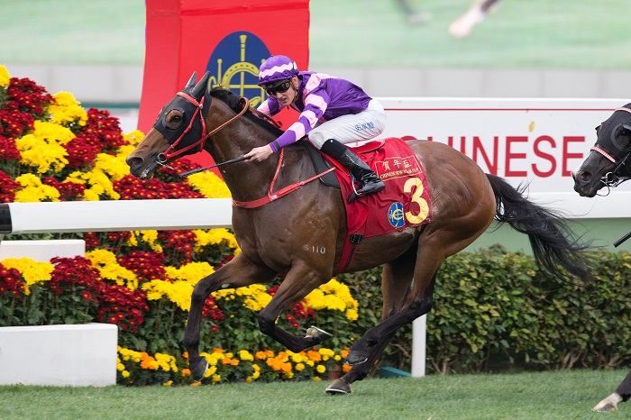 Xem đua ngựa - Trải nghiệm trong ngày Tết Nguyên Đán ở Hồng Kông