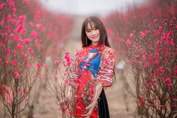 Những làng hoa Tết ở Hà Nội thỏa thích chụp ảnh xuân 2021