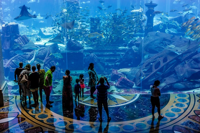  The Lost Chambers Aquarium - đảo Palm Jumeirah Dubai