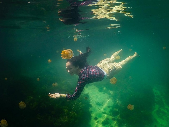 Lặn ngắm sứa trên đảo Kakaban Indonesia 