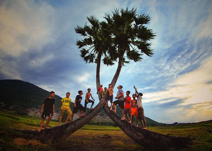 địa điểm chụp ảnh đẹp ở Tây Ninh - cây thốt nốt tình yêu