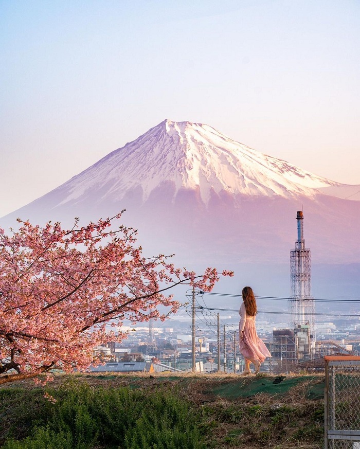 Nhật Bản là một trong những nơi có mùa xuân đẹp nhất thế giới