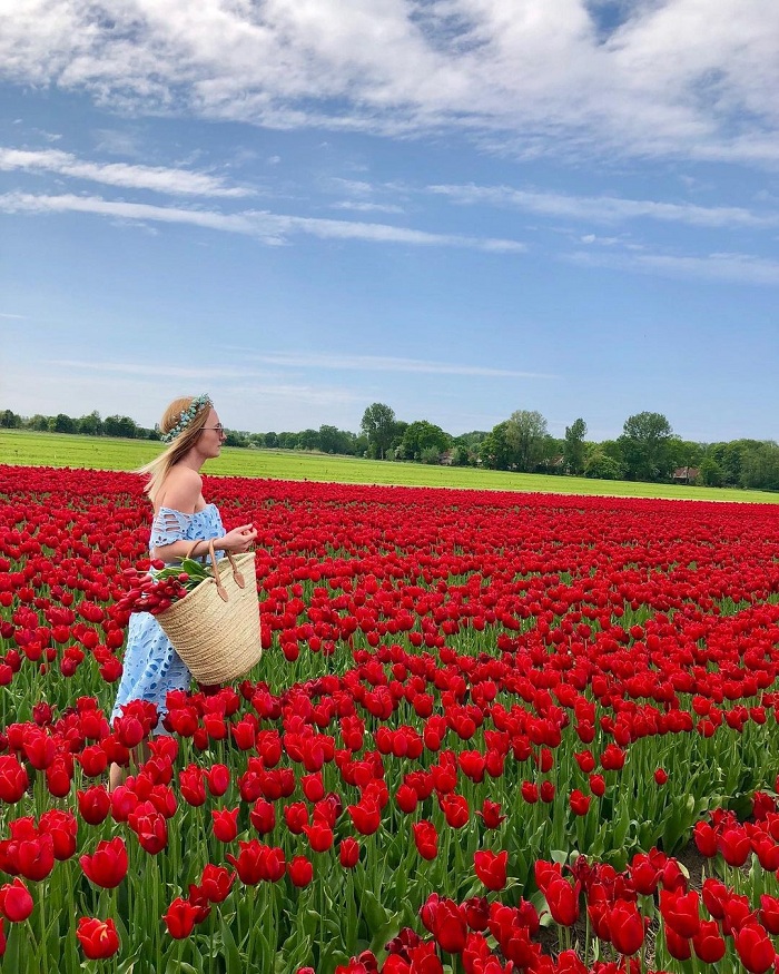Hà Lan là một trong những nơi có mùa xuân đẹp nhất thế giới