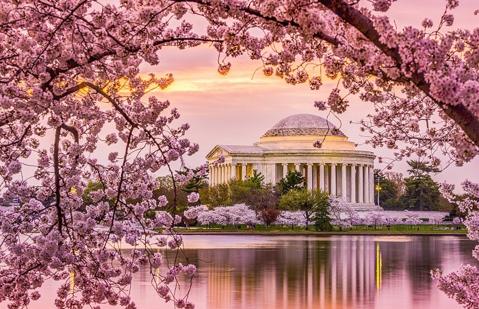 Hoa Kỳ là một trong những nơi có mùa xuân đẹp nhất thế giới