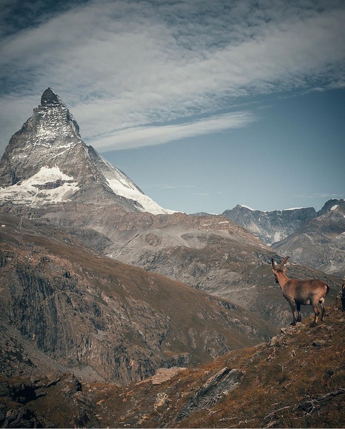 Đỉnh Matterhorn huyền thoại  tàu tốc hành chậm nhất thế giới