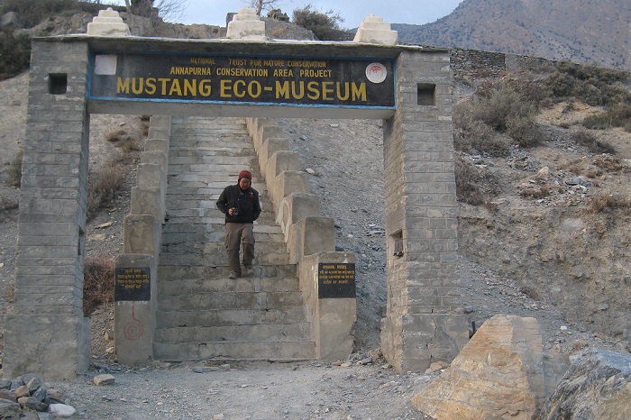 Bảo tàng sinh thái Mustang là điểm tham quan ở thị trấn Jomsom Nepal