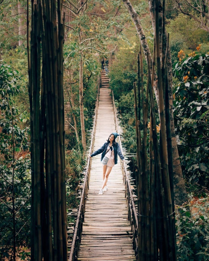 Cu Lan village suspension bridge is one of the virtual living bridges in Da Lat
