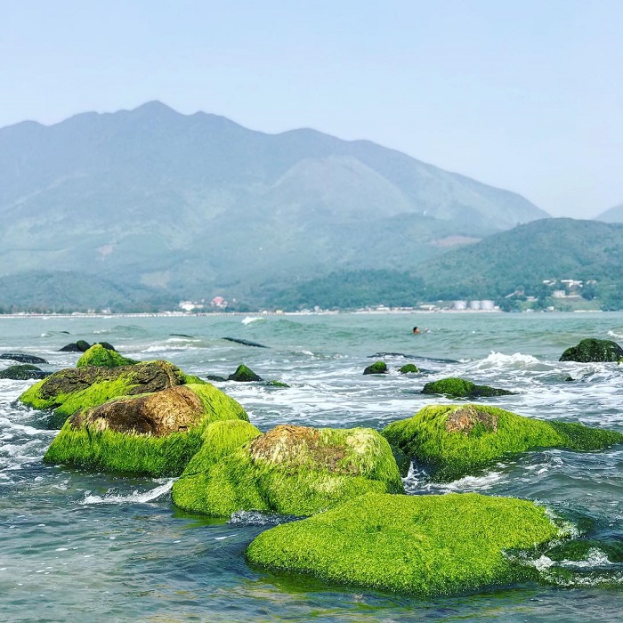 Bãi rêu Nam Ô là bờ kè rêu xanh ở Việt Nam rộng lớn, nhiều góc chụp đẹp