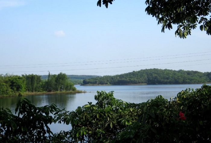 cầu 38 Bình Phước có gi