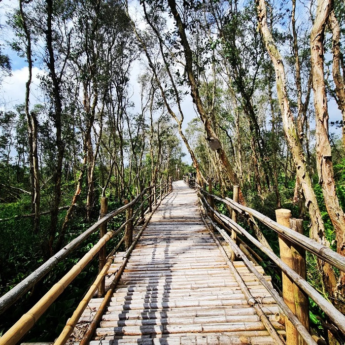 Đây là cây cầu đi bộ đẹp ở Việt Nam dài đến 10 km