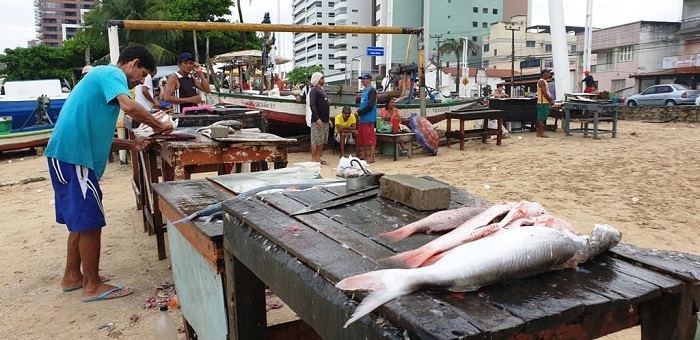 Chợ cá là điểm tham quan ở thành phố Fortaleza