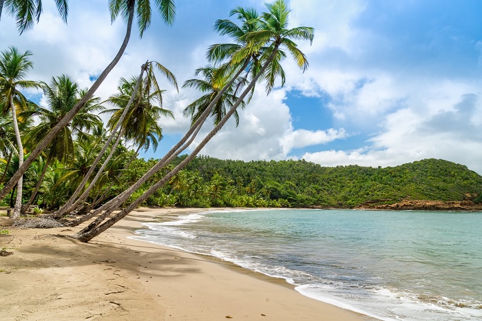 Dominica có một vài bãi biển đầy cát dọc theo bờ biển phía bắc - Du lịch Dominica