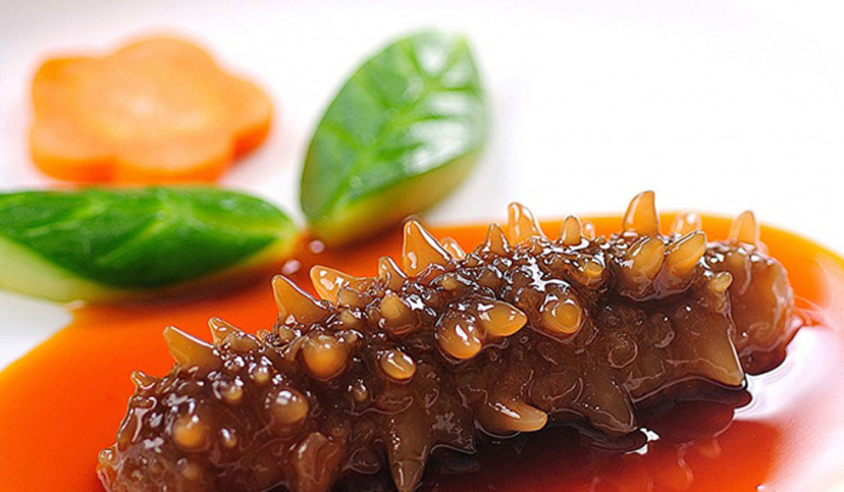 The price of Phu Quoc sea cucumber depends on whether it's dried or fresh