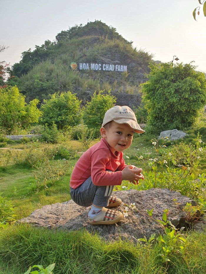 Hoa Mộc Châu Farm là trang trại dâu tây được yêu thích ở Mộc Châu