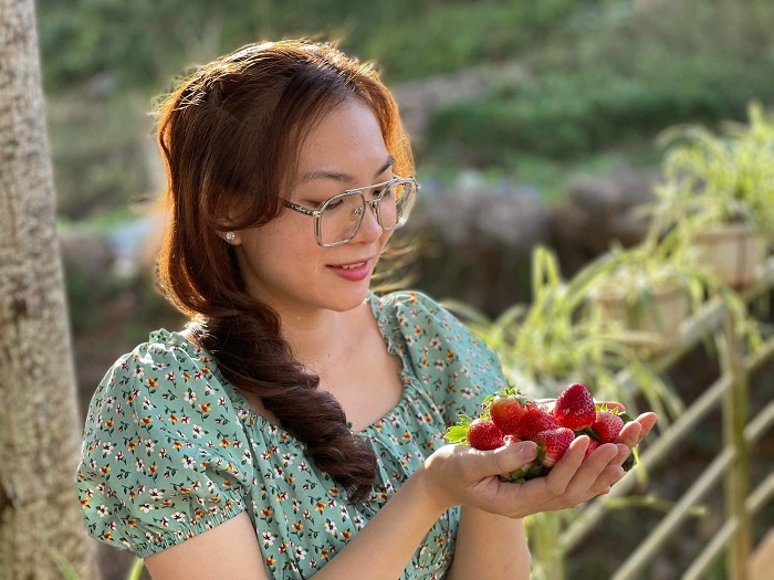 Hoa Mộc Châu Farm dành cho những ai yêu thích hái dâu tây 