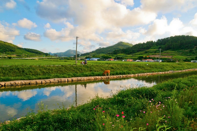 Một trong những hòn đảo đẹp nhất Hàn Quốc