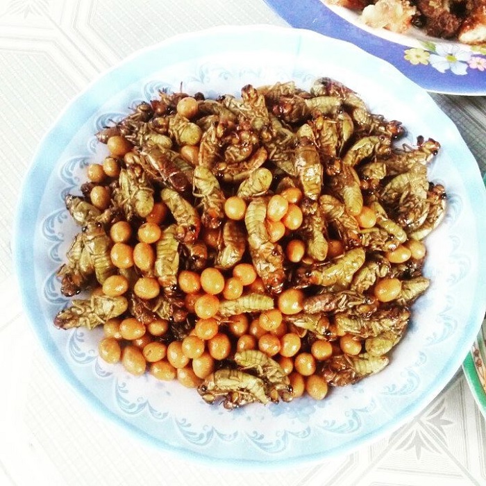 Ve sầu chiên giòn là món ăn từ côn trùng của Việt Nam được yêu thích