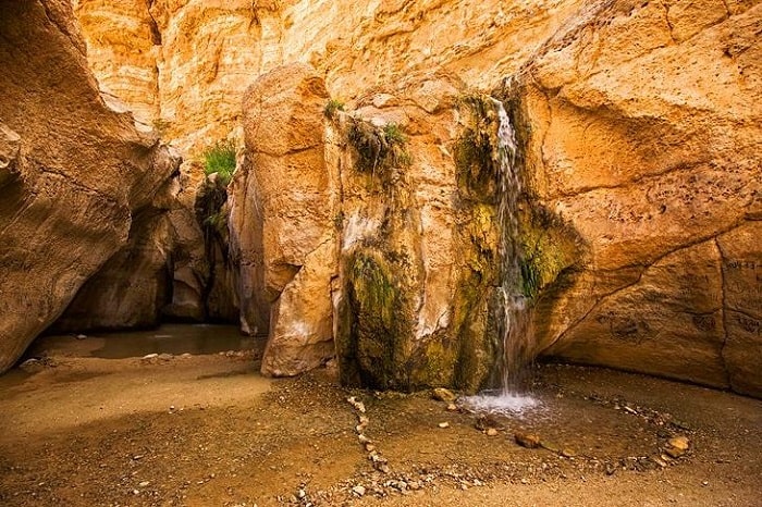 Nhà tắm hơi Djerid là địa danh tham quan ở thị trấn Tozeur Tunisia