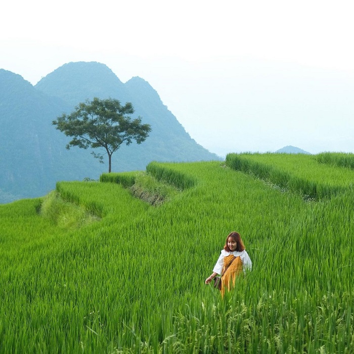 Mavis là nữ travel blogger Việt Nam nổi tiếng với nhiều chuyến đi khắp đất nước