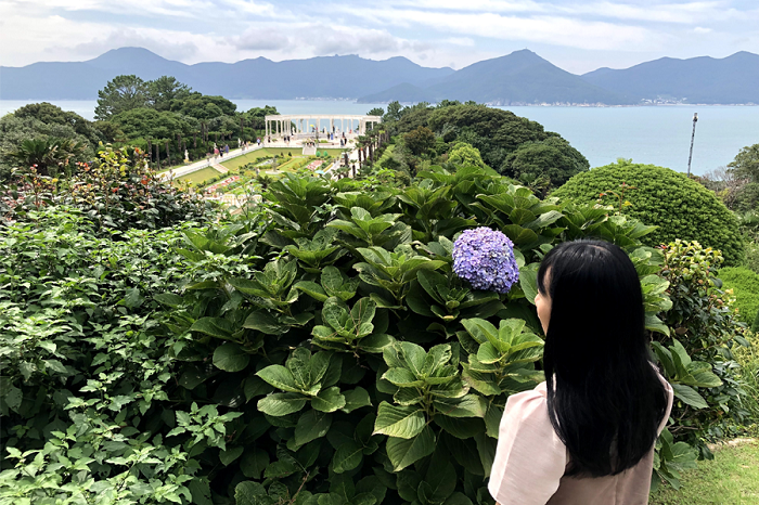Khu vườn theo phong cách Địa Trung Hải - Những hòn đảo đẹp nhất Hàn Quốc