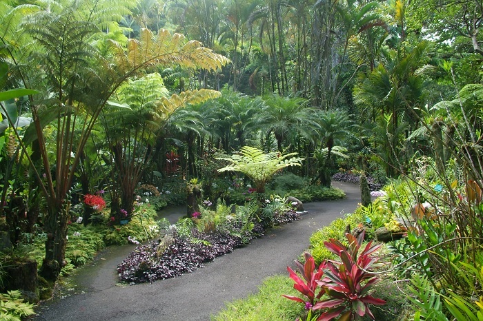 Vườn Bách thảo Nhiệt đới Hawaii - du lịch đảo Lớn Hawaii