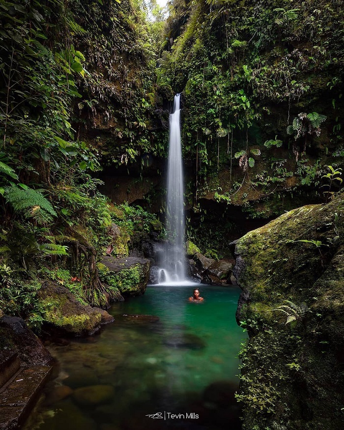 Thác nước trong vườn Quốc gia Wai'tukubuli. - Du lịch Dominica