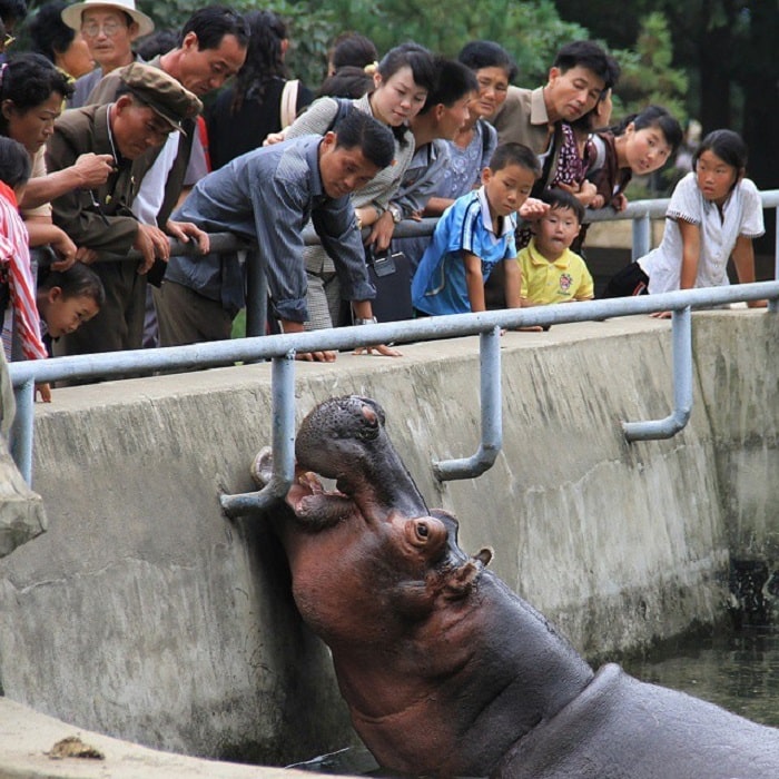 Bên trong vườn thú Bình Nhưỡng