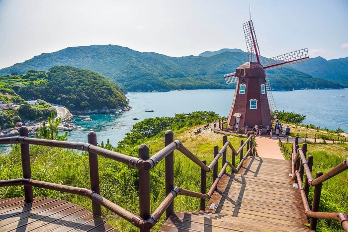 Ghé thăm Windy Hill, một ngọn đồi cỏ tuyệt đẹp nhìn ra biển trong xanh - Những hòn đảo đẹp nhất Hàn Quốc