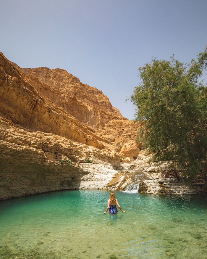 Hồ bơi ở Nahal Arugot Khu bảo tồn thiên nhiên Ein Gedi 