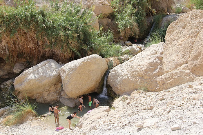 Ghé thăm Khu bảo tồn thiên nhiên Ein Gedi để khám phá những con đường mòn tự nhiên và động vật hoang dã