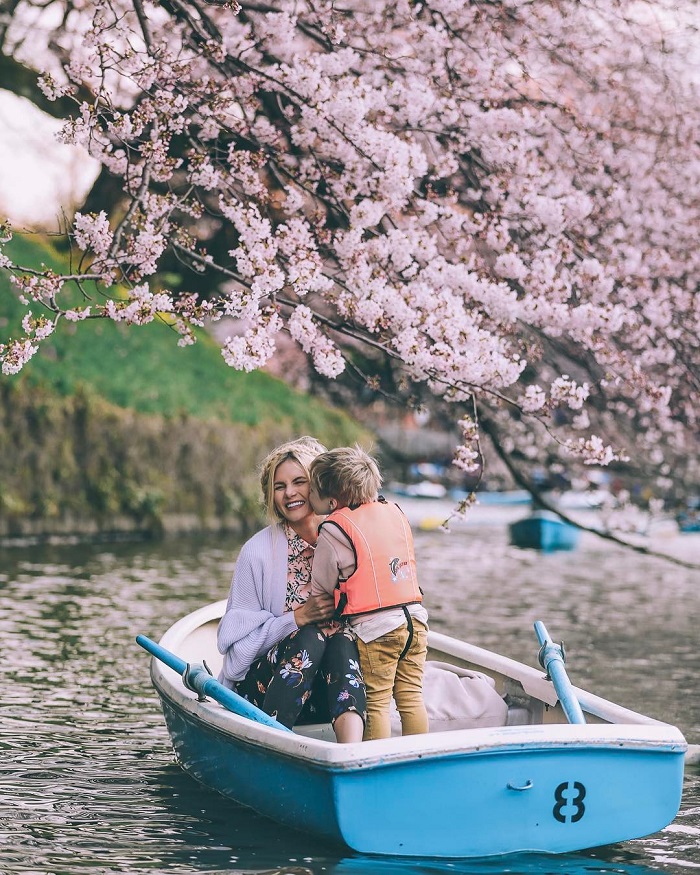 Hanami là lễ hội mùa xuân trên thế giới nổi tiếng tại Nhật Bản