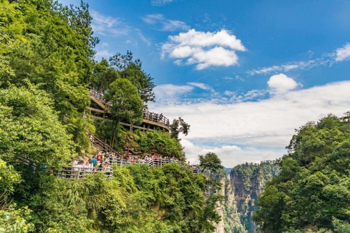 Khám phá Khu vườn sau nhà ở Viên Gia Giới Trung Quốc