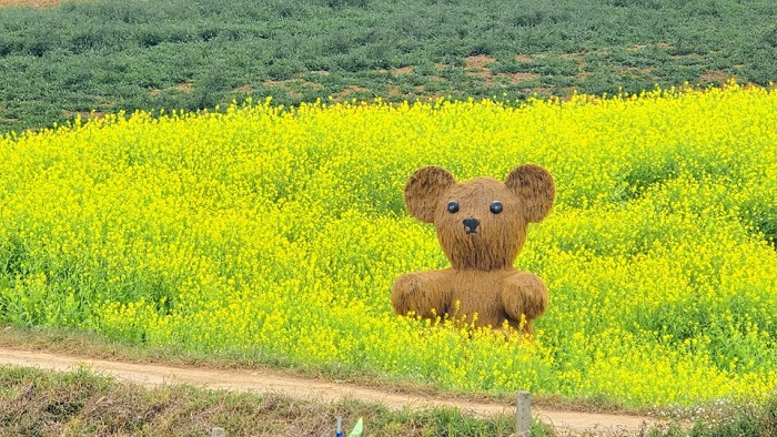 Lỏi Tươi Farm Mộc Châu ở đâu?