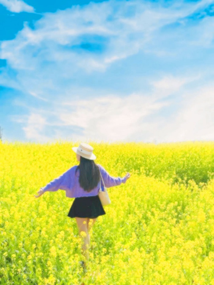 Lỏi Tươi Farm Mộc Châu đang vào mùa hoa cải vàng tuyệt đẹp