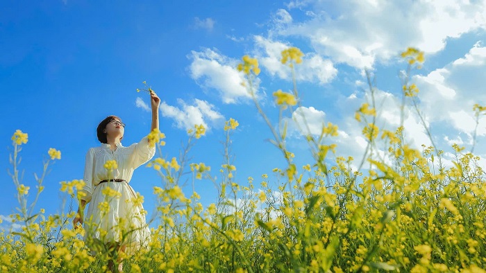 Lỏi Tươi Farm Mộc Châu góc nào lên hình cũng đẹp