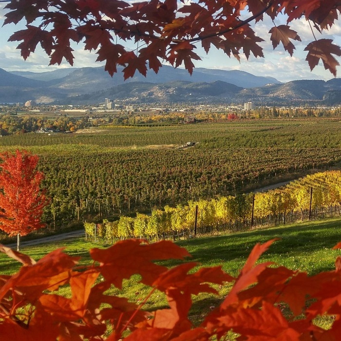 Okanagan là một trong những thung lũng đẹp nhất châu Mỹ có thiên nhiên đặc sắc