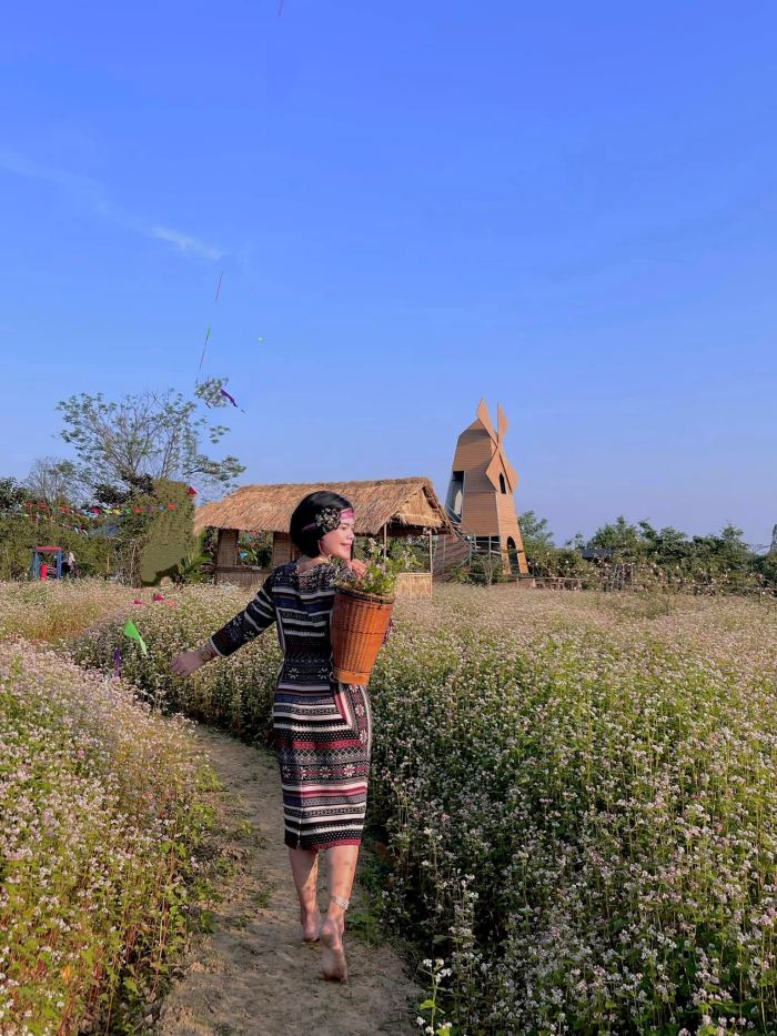 vườn hoa Tết đẹp ở Huế 2026  Green Life Farm