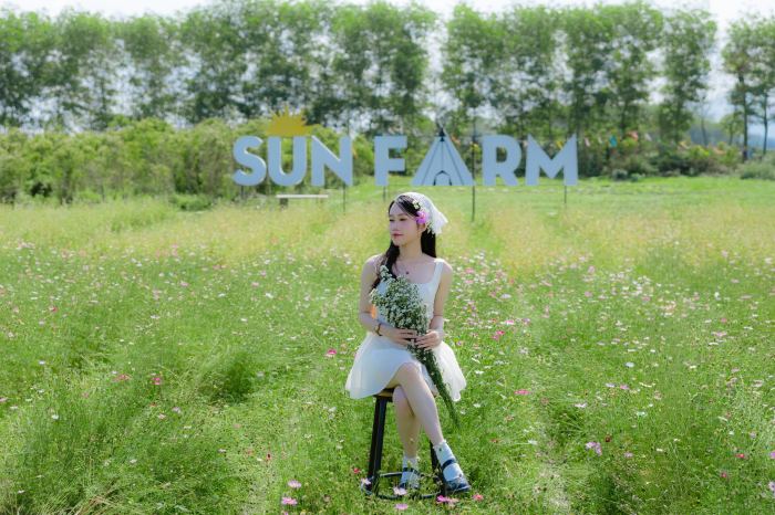 vườn hoa Tết đẹp ở Huế 2026  Green Life Farm