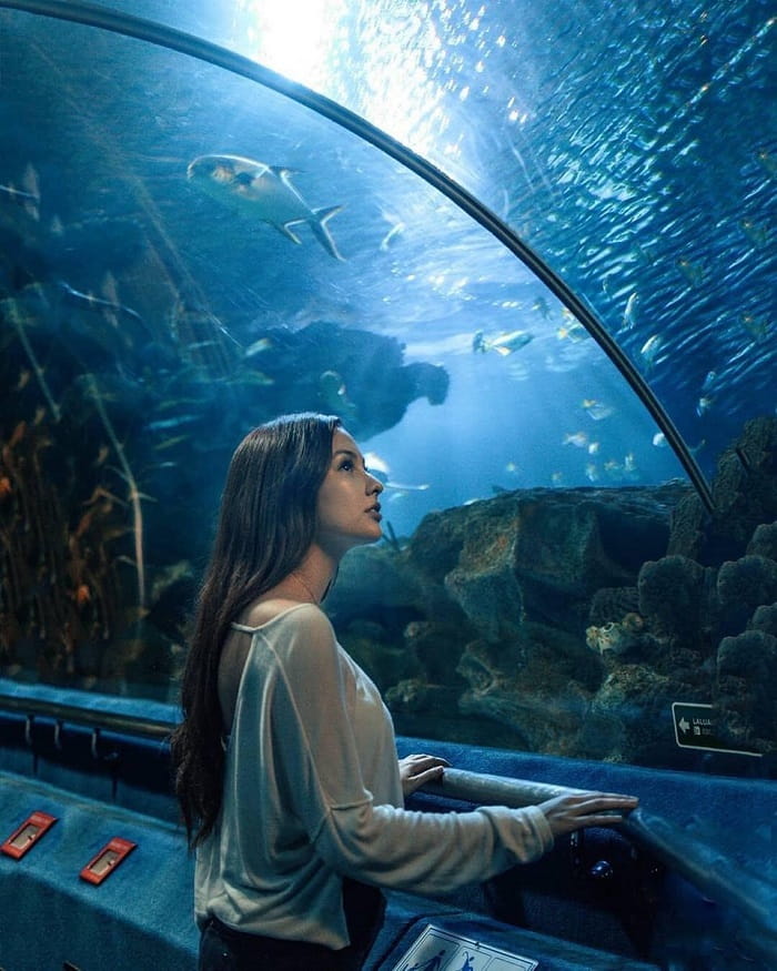 Du lịch Malaysia tự túc nên đi Thuỷ Cung Aquaria KLCC