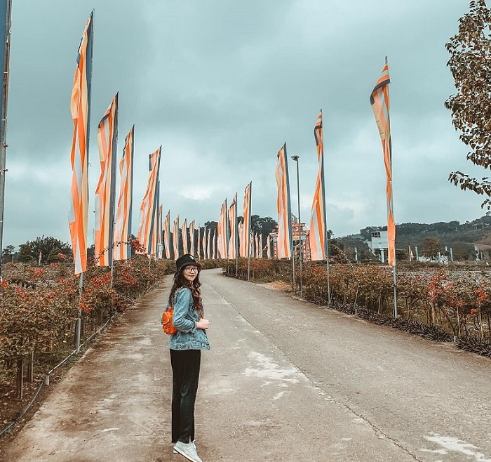 địa điểm cầu tài lộc ở Vĩnh Phúc - Tây Thiên