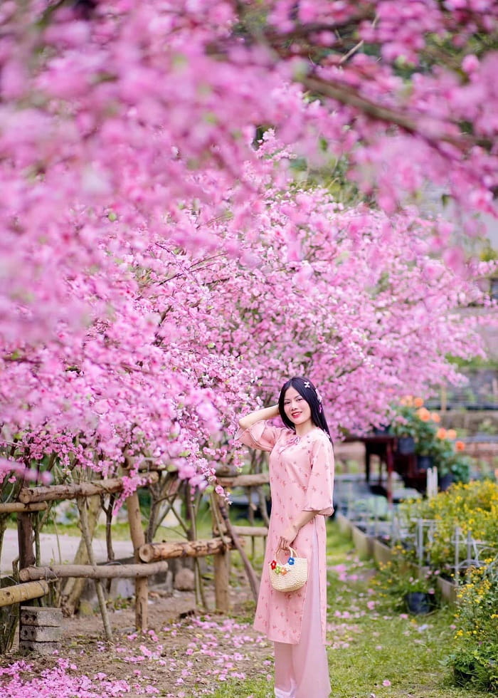 Địa điểm chụp ảnh Tết đẹp ở Thanh Hóa