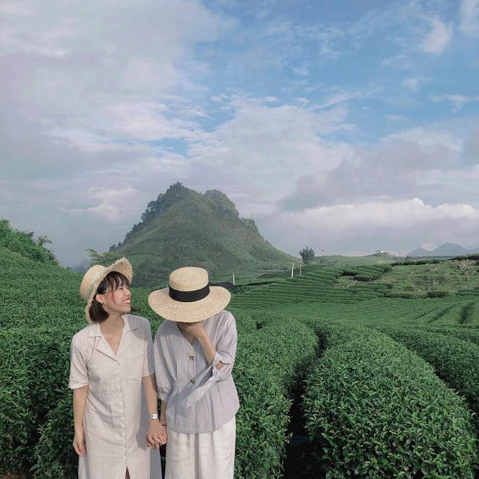 Du lịch Mộc Châu tháng 3 có gì đặc sắc - Đồi chè xanh mát trong lành