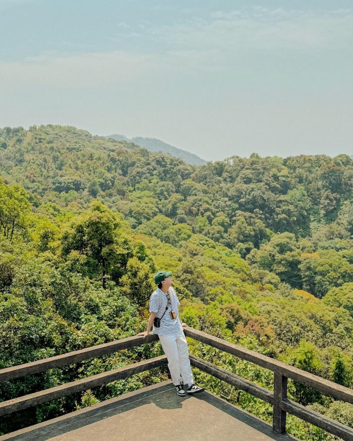 Du lịch chữa lành tại Huế Bạch Mã