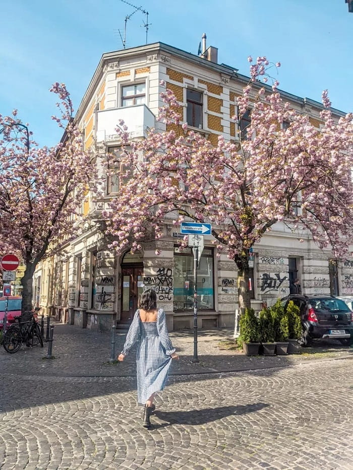 Kinh nghiệm du lịch Đức mùa xuân