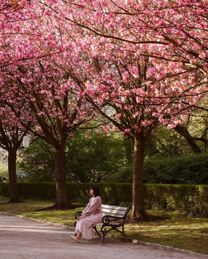 Kinh nghiệm du lịch Đức mùa xuân 